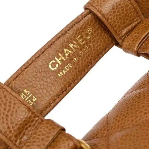 Chanel Brown Calfskin Waist Bum Bag #85/34 136082 - Picture 3 of 9